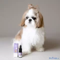 Boo Drops za mačke - kapljice za pomiritev z 10% CBD-jem, 10 ml