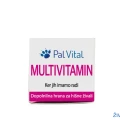 PalVital MULTIVITAMIN