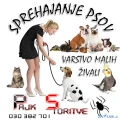 SPREHAJANJE PSOV IN VARSTVO MALIH ŽIVALI