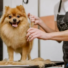 Kompletna nega (20-30kg)