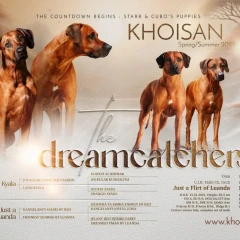 Leglo rodezijski grebenar (RHODESIAN RIDGEBACK)