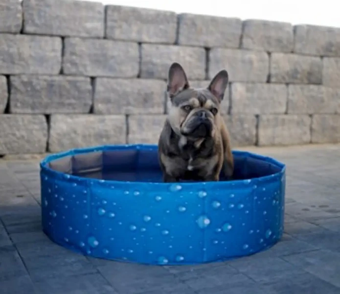 Bazen za pse – mehurčki